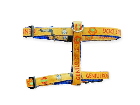 Nakura - Cat/Dog Harness And Leash - Orange