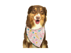 Nakura - Pet Bandana Combo - Blue And Pink Boston Terrier