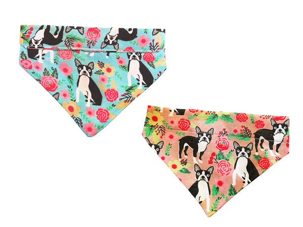 Nakura - Pet Bandana Combo - Blue And Pink Boston Terrier