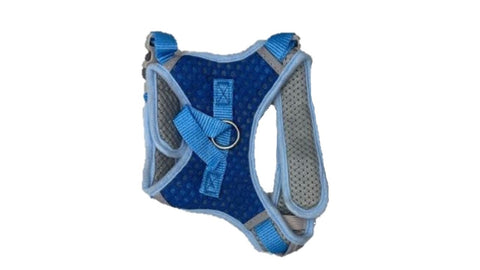 Nakura - Cat/Dog - Harness And Leash With Velcro Straps - Blue - Large