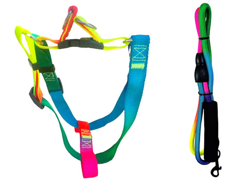 Nakura - Harness With Leash For Cats And Dogs - Neon Rainbow - Medium