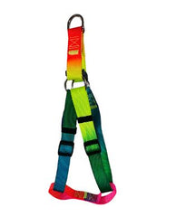 Nakura - Harness With Leash For Cats And Dogs - Neon Rainbow - Medium