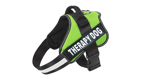 Nakura - Therapy Dog Harness With Removable Patches - Green - XXL