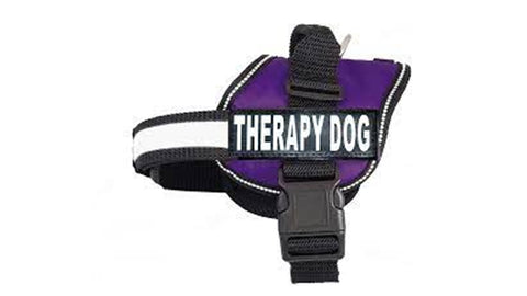 Nakura - Therapy Dog Harness With Removable Patches - Purple - Large