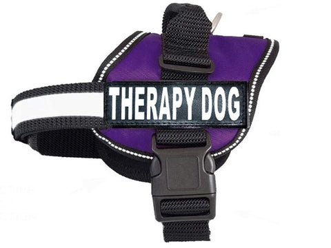 Nakura - Therapy Dog Harness With Removable Patches - Purple - Medium