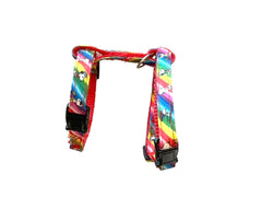 Cat/Dog Harness And Leash - Rainbow