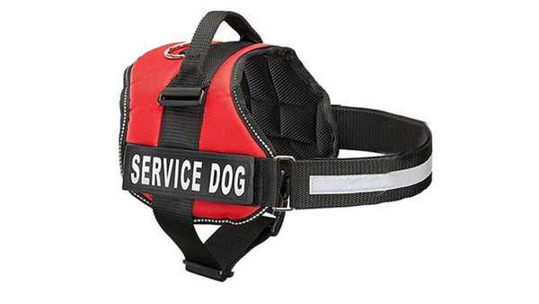 Nakura - Therapy Dog Harness With Removable Patches - Red - XL