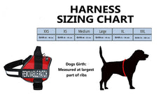 Nakura - Therapy Dog Harness With Removable Patches - Black - Medium