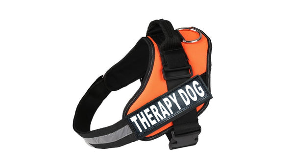 Nakura - Therapy Dog Harness With Removable Patches - Orange - Large