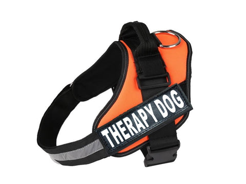 Nakura - Therapy Dog Harness With Removable Patches - Orange - XXL